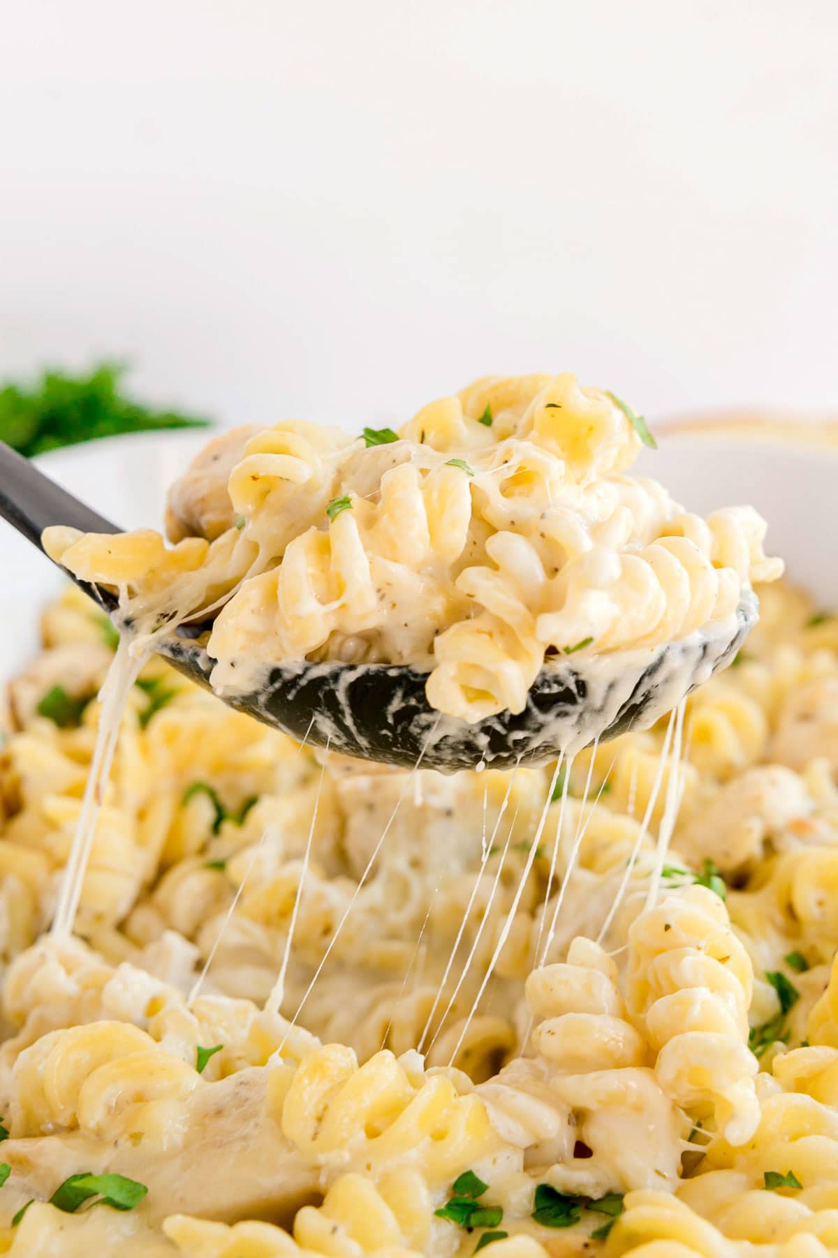 Chicken Alfredo Pasta Bake (Easy Weeknight Comfort Food)
