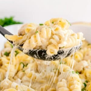 A spoon lifting cheesy chicken Alfredo pasta with melted strands of cheese.