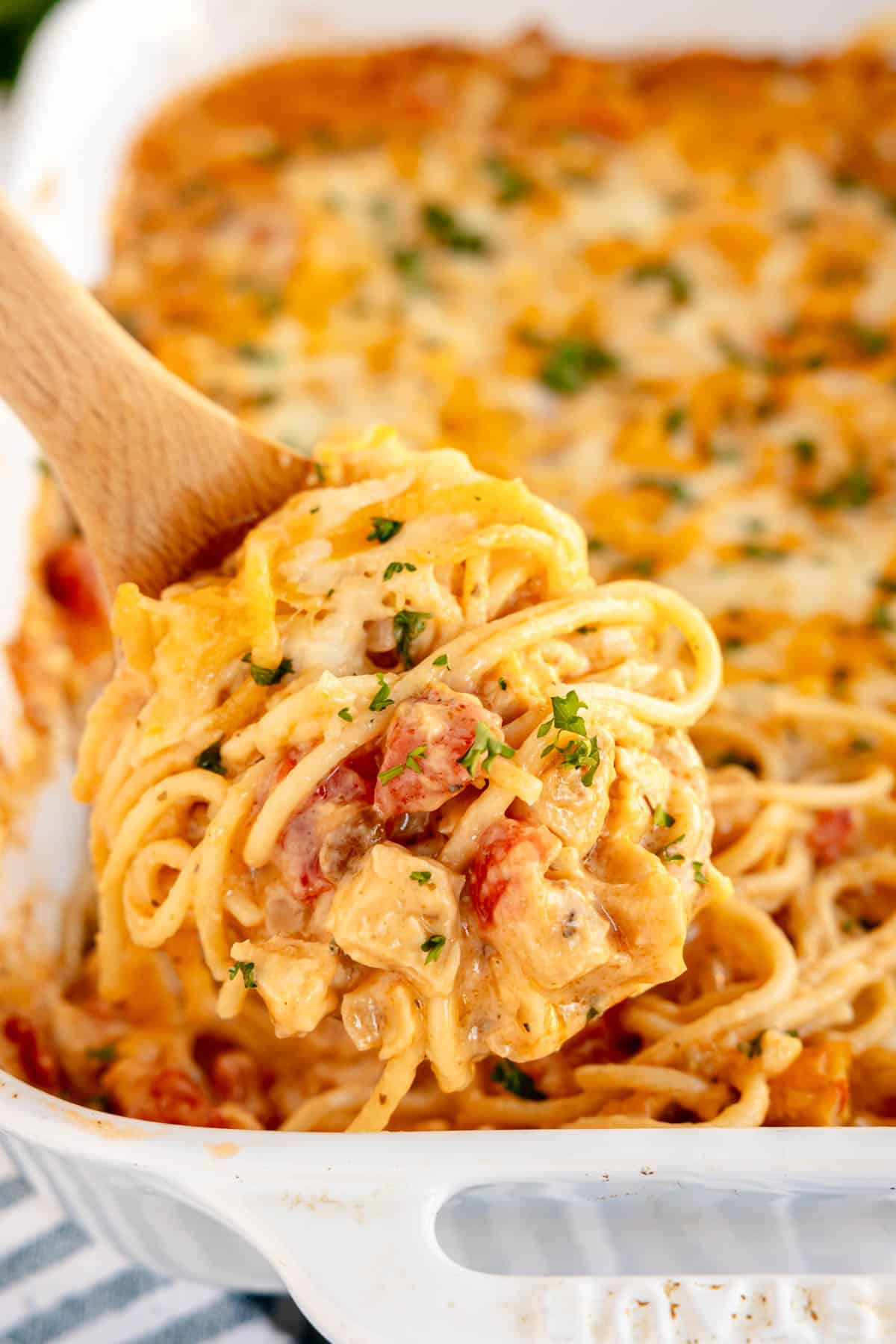 Creamy Chicken Spaghetti