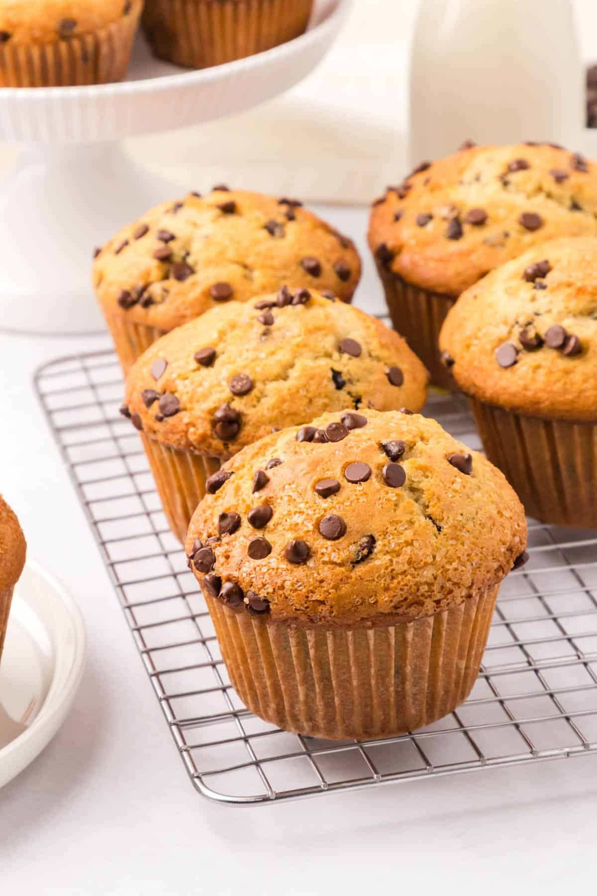 Chocolate Chip Muffins (Bakery Style)