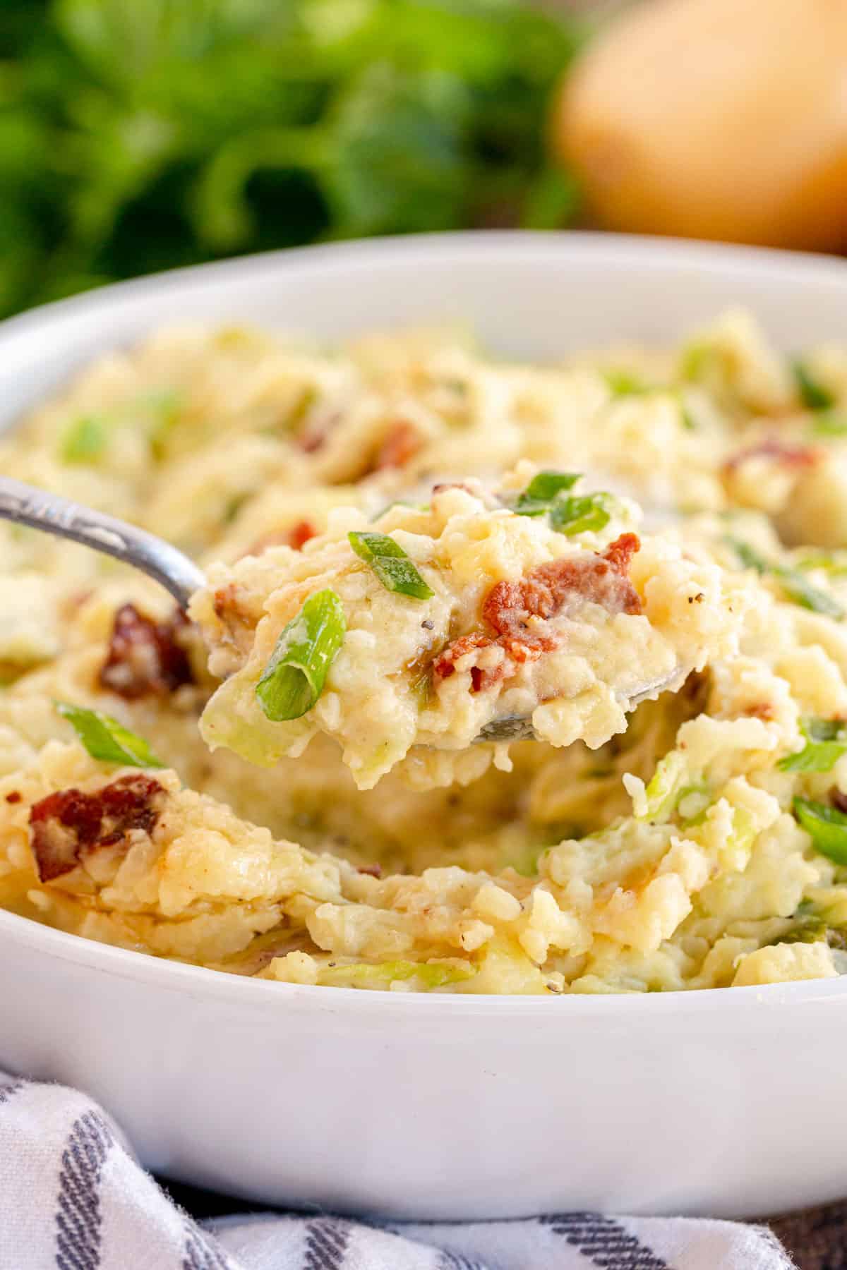 Colcannon