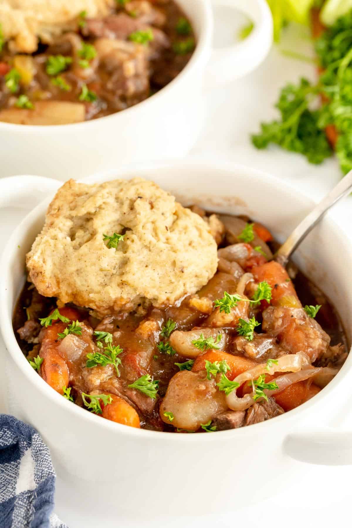 Beef Stew with Dumplings (Slow Cooker Recipe)
