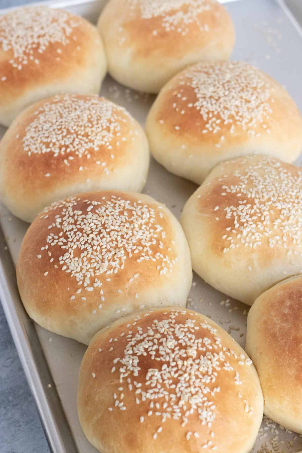 Homemade Hamburger Bun Recipe