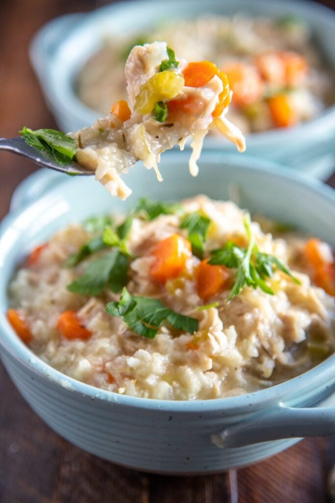 spoon full of chicken and rice