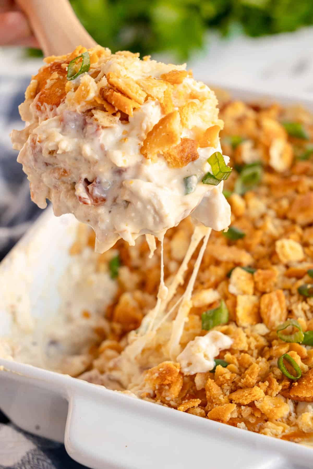 Million Dollar Chicken Casserole