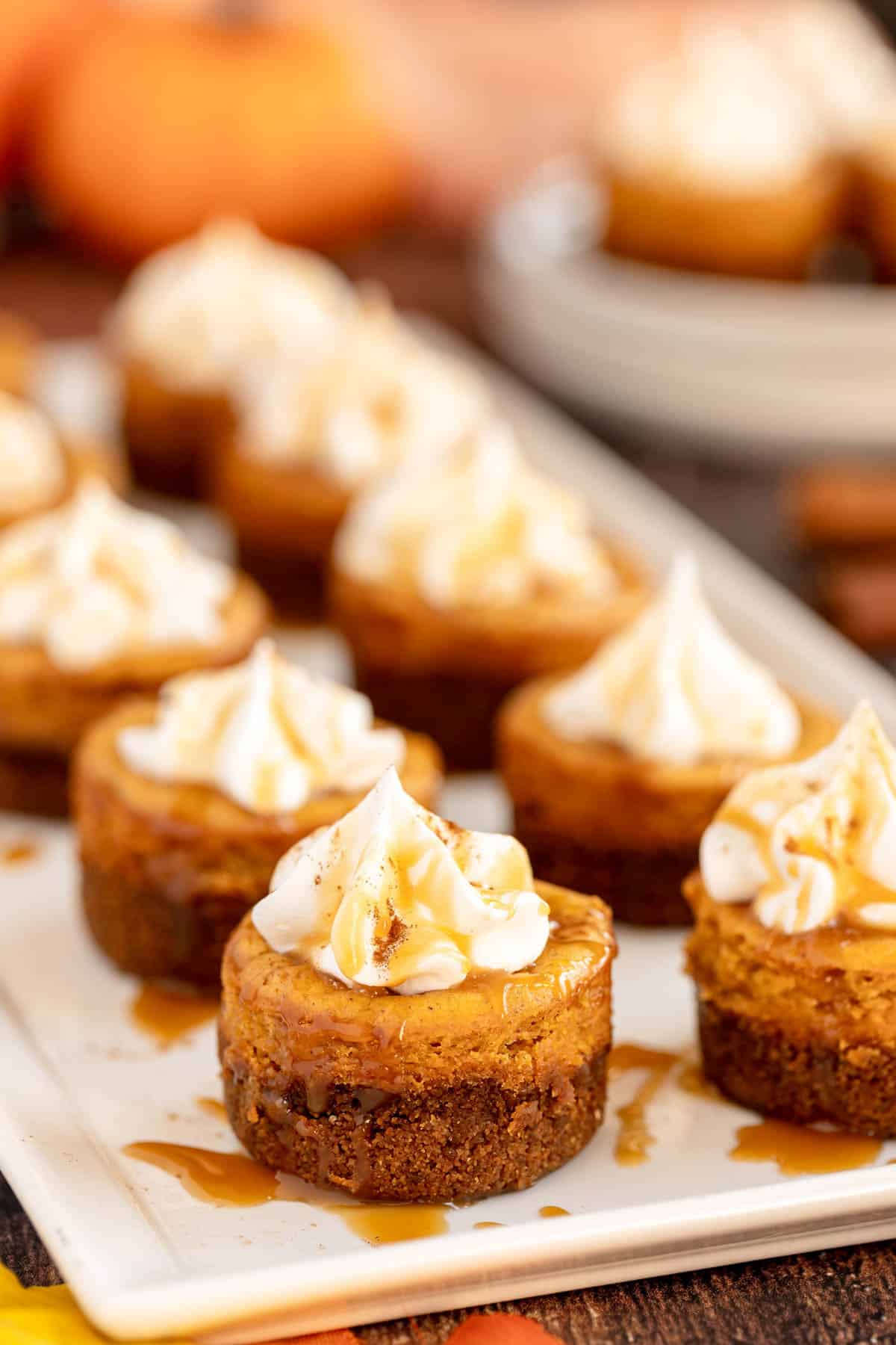 Mini Pumpkin Cheesecakes (with Gingersnap Crust)