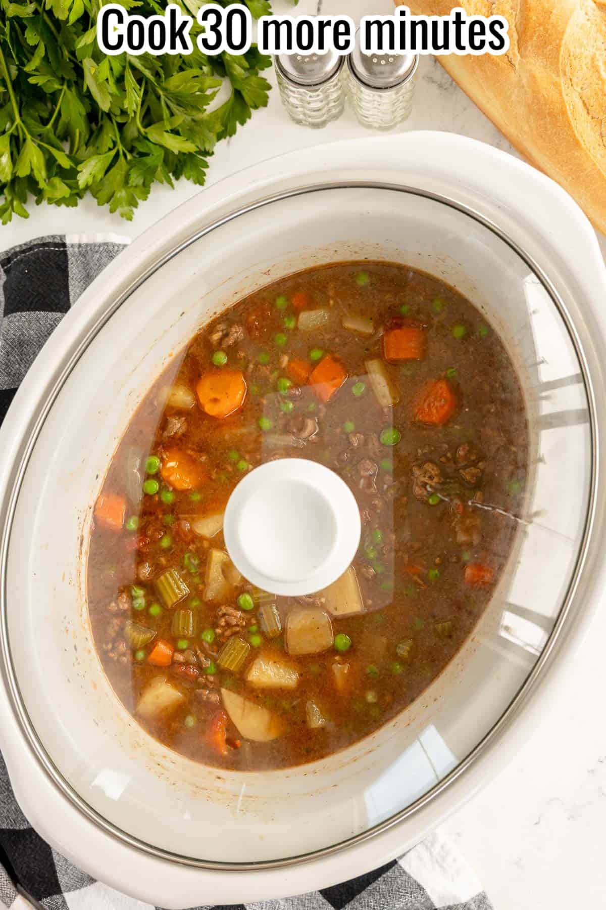 crockpot with a lid on.